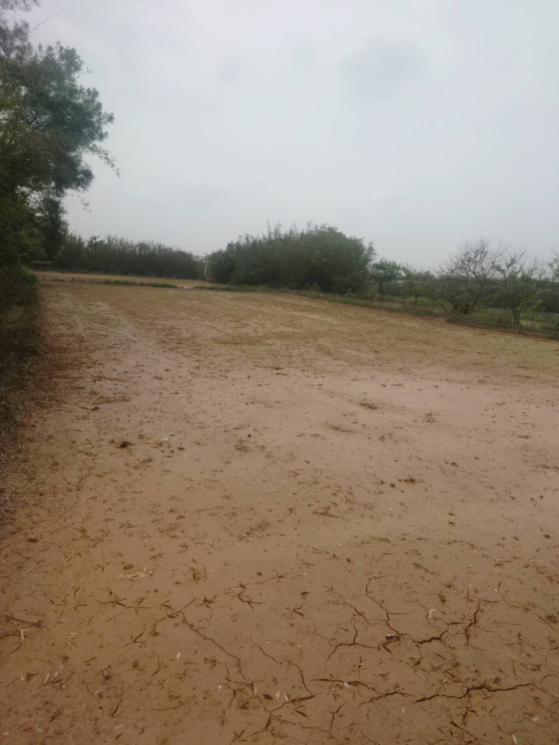 timeline 20240502 201214